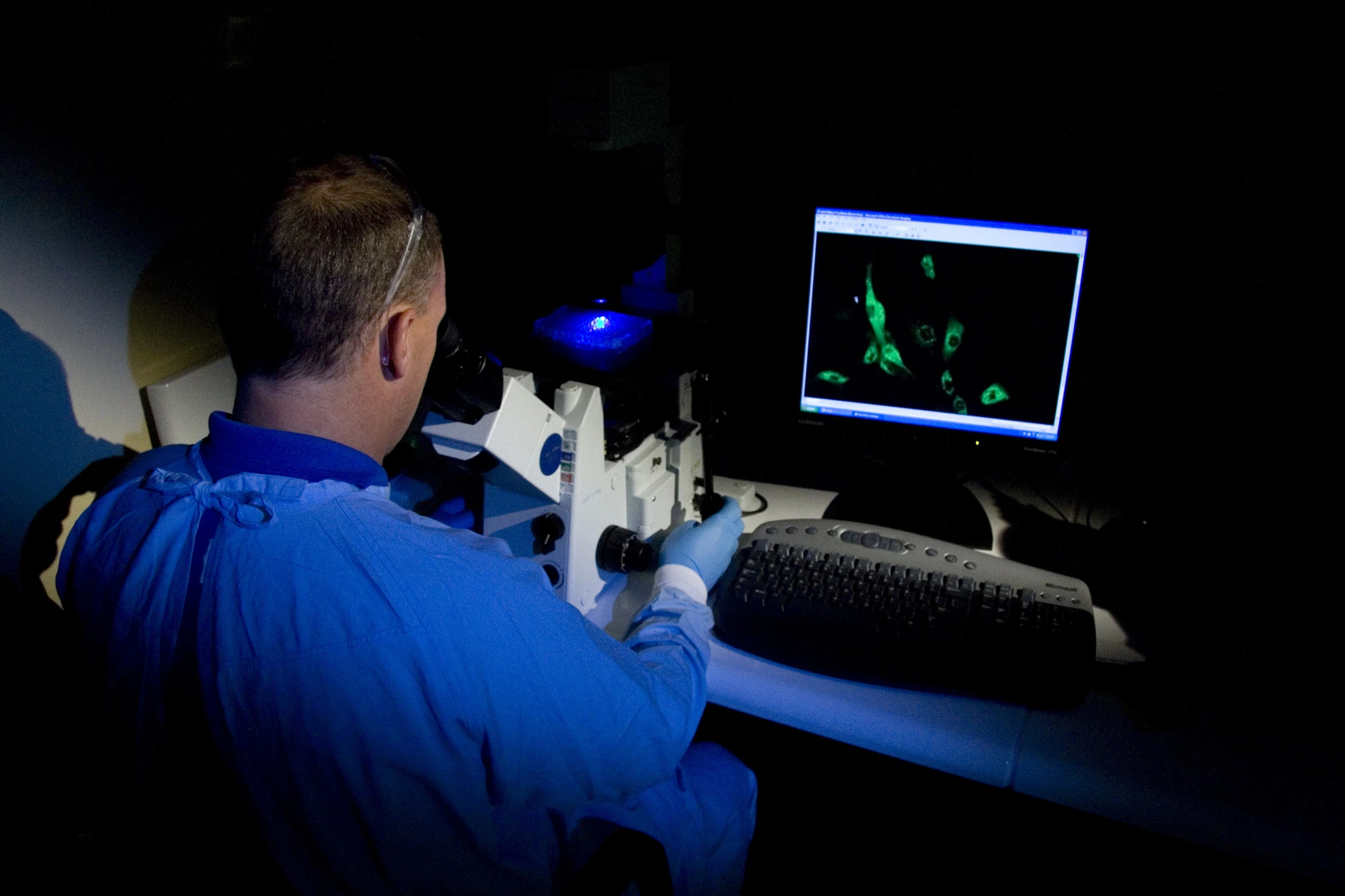 Laboratory data collection; illustrative stock photograph