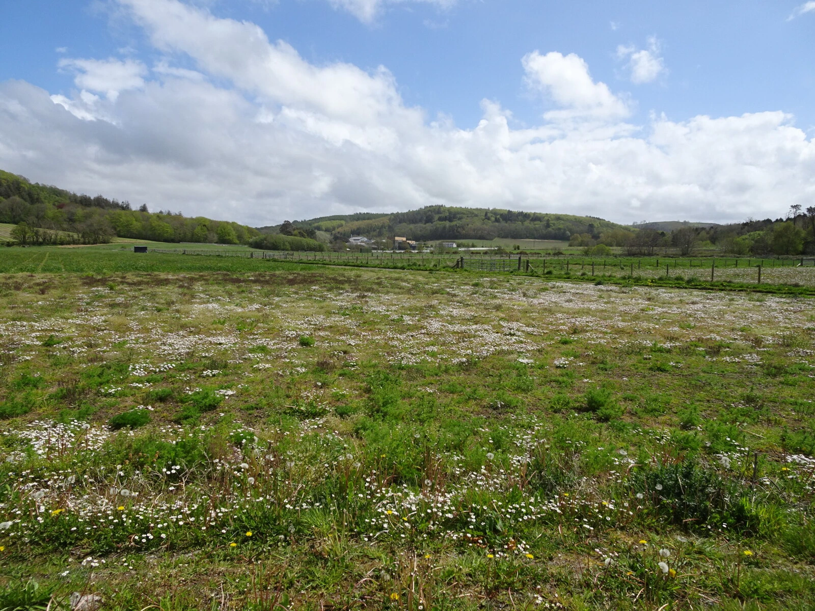 Environmental research field; illustrative stock photograph