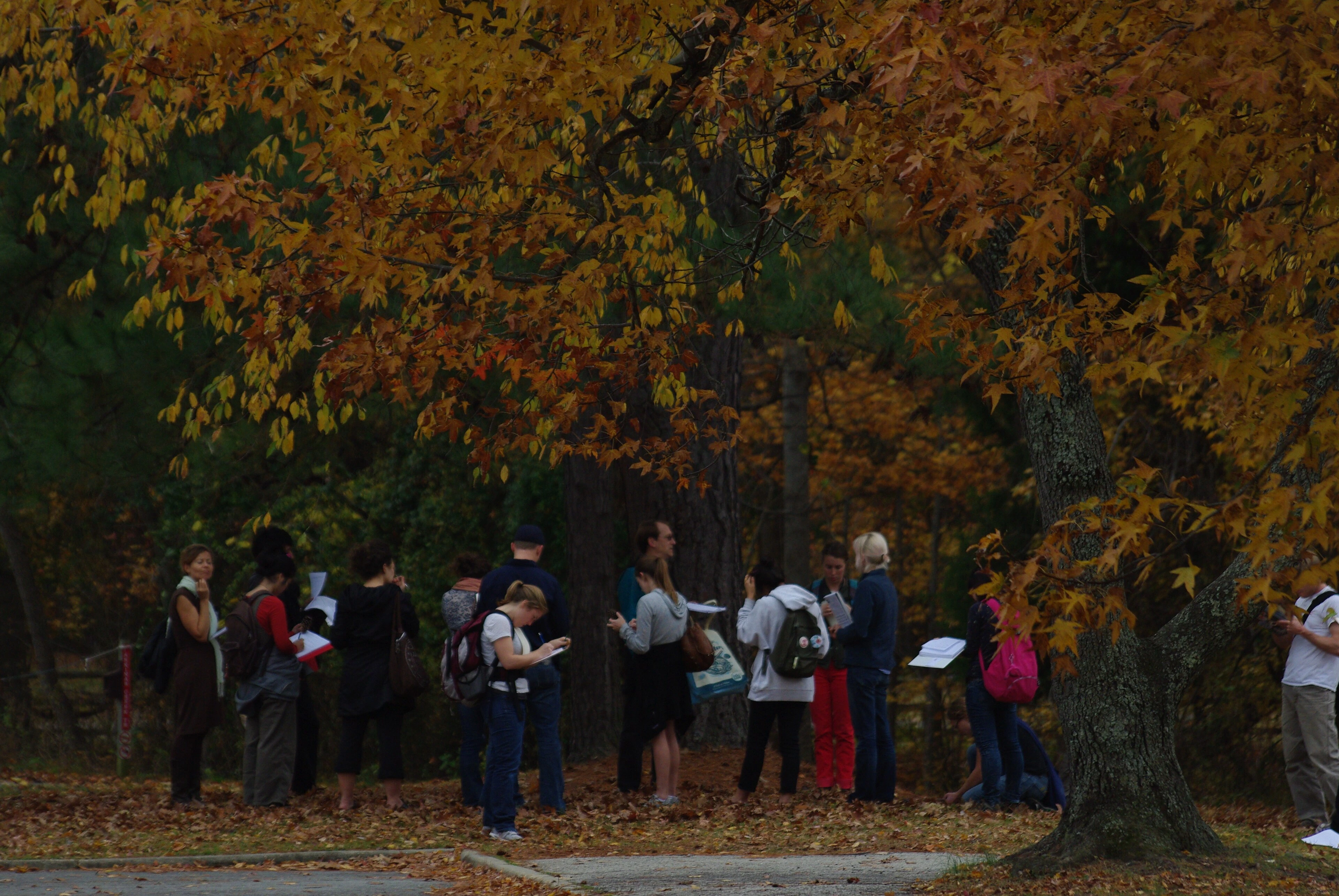 Outdoor environmental education; illustrative stock photograph