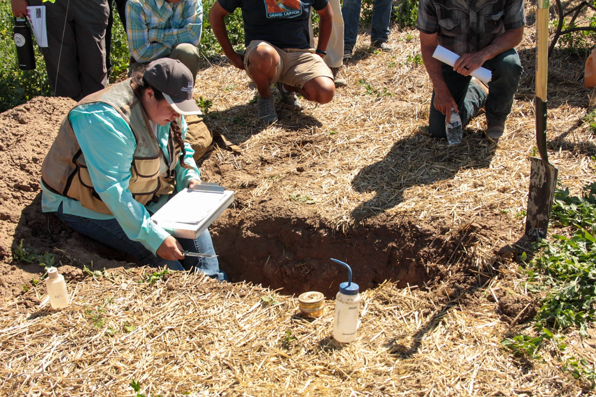 Soil health field day; illustrative stock photograph