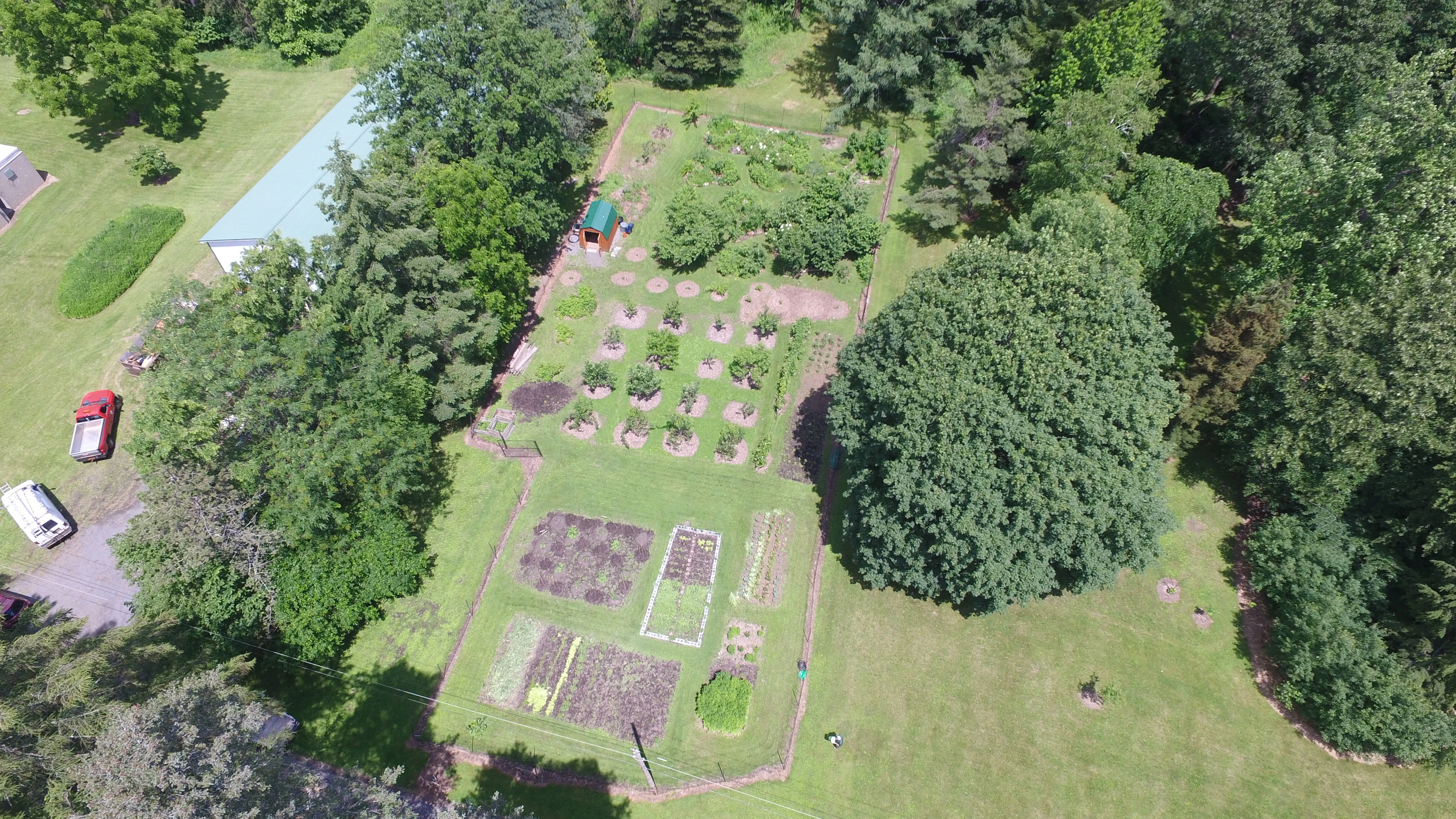ESF Community Garden at LRES, 2017