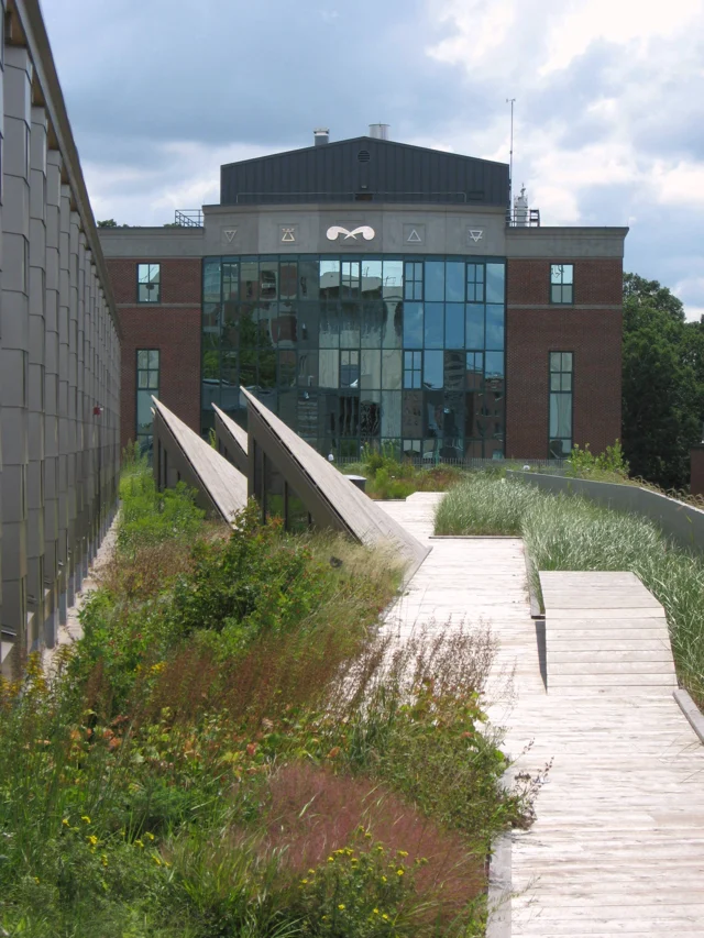 SUNY ESF Gateway Center green roof