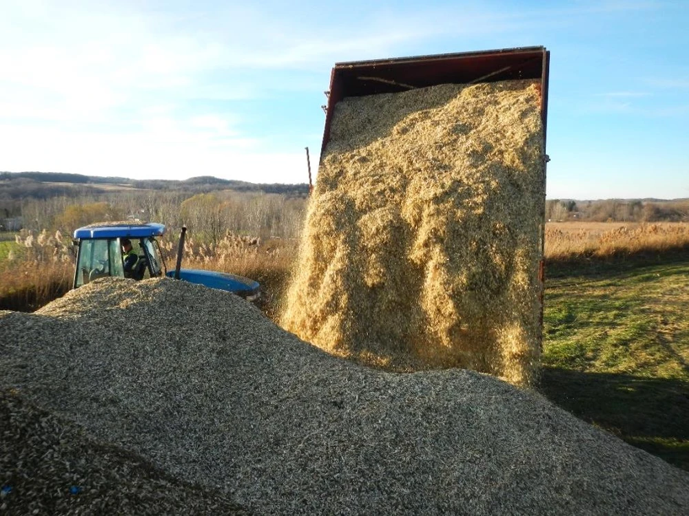 Unloading willow chips near Syracuse, November 2015