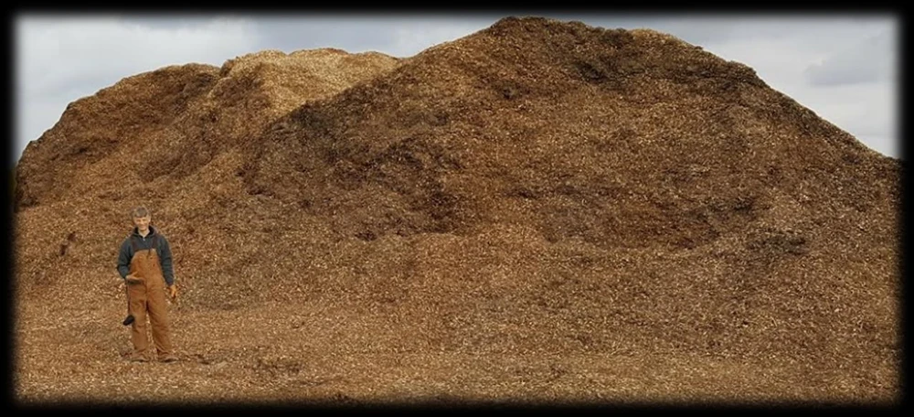 Willow biomass supply-chain context, 2016 BCAP report