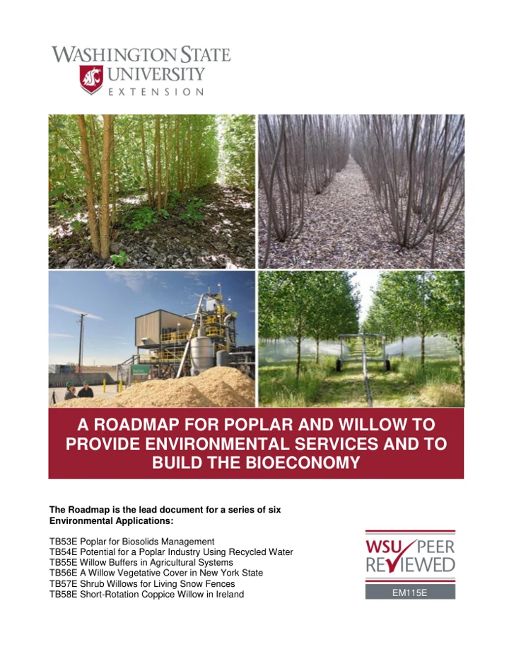 Roadmap for Poplar and Willow report cover