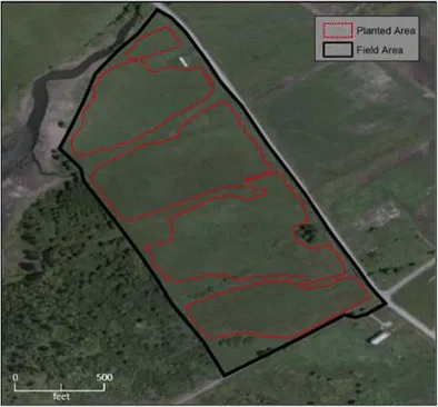 Article Figure 1 · Field and planted area