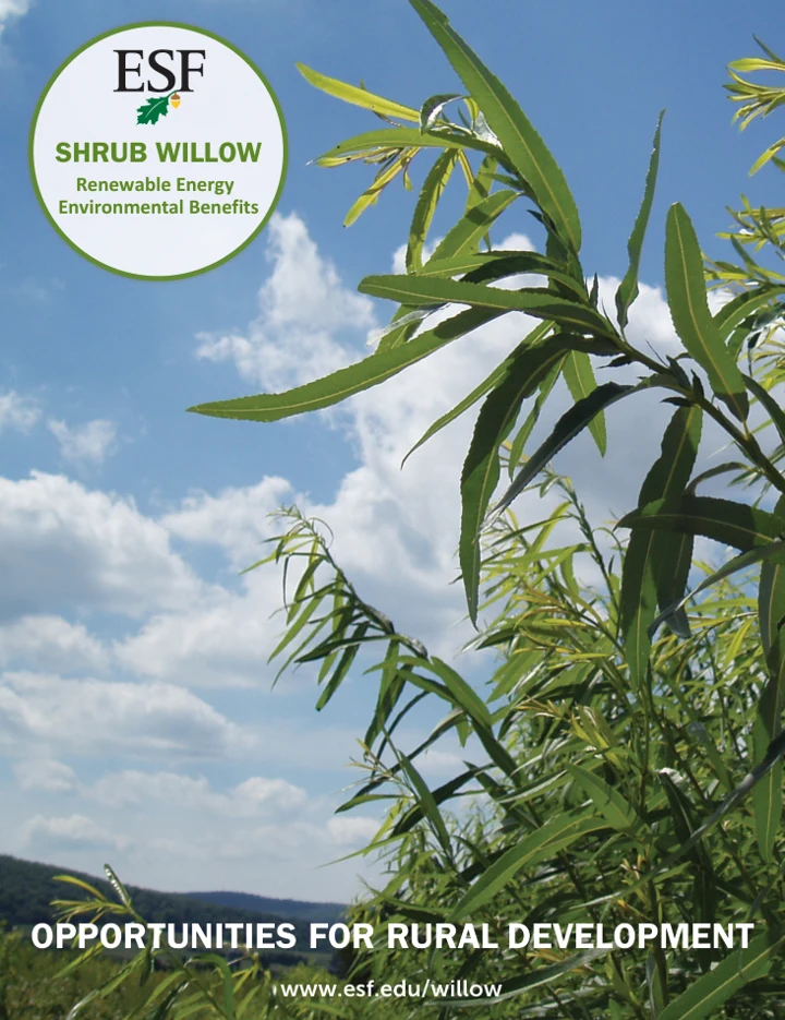 Shrub Willow: Renewable Energy brochure cover