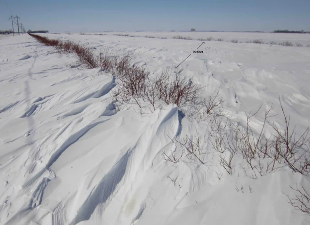 Supporting image: Minnesota living snow fence