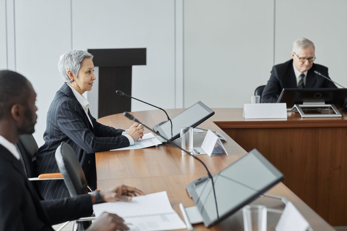 Professionals in a formal stakeholder meeting