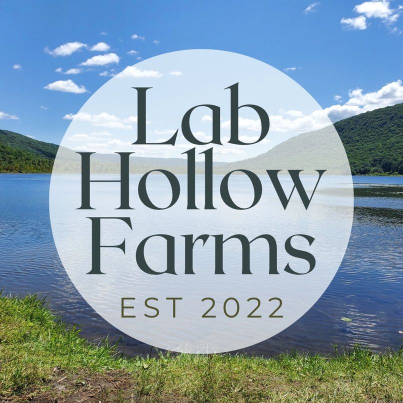 Lab Hollow Farms brand image