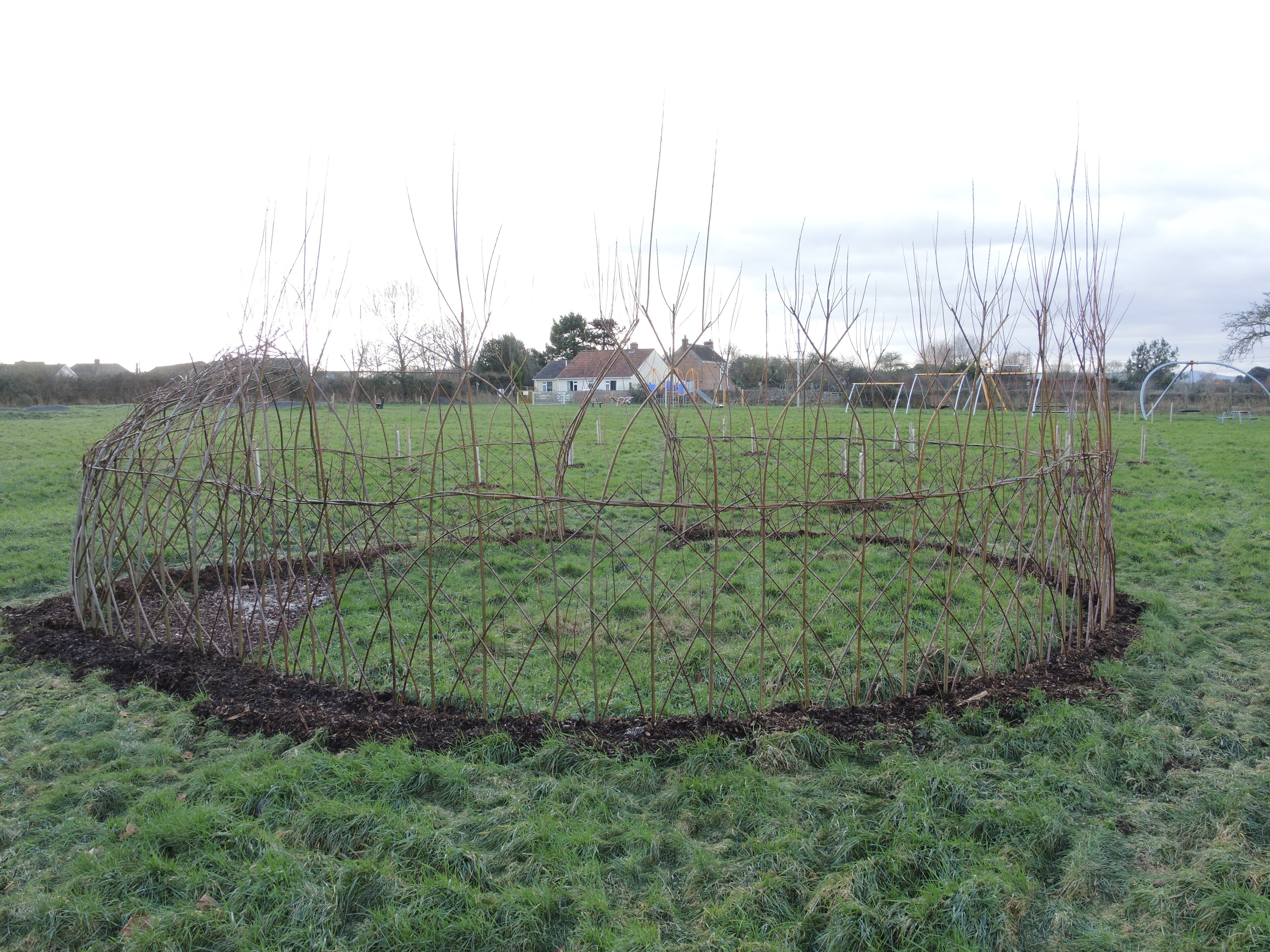 Woven living willow dome structure in Chedzoy, England