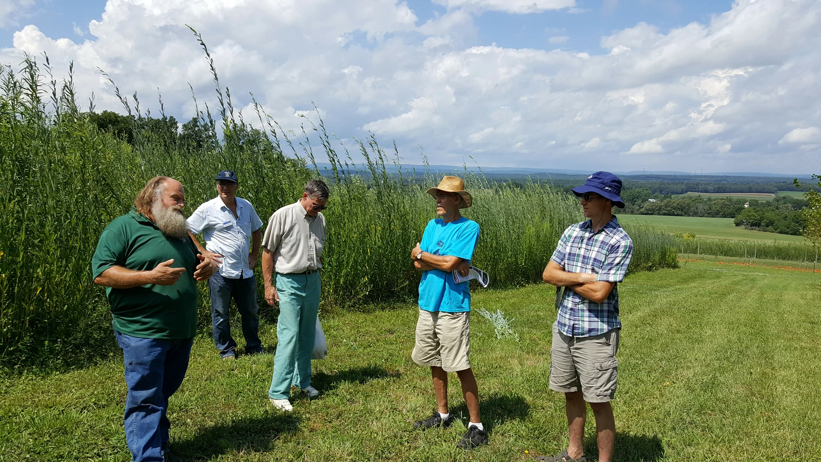 Willow project field assessment