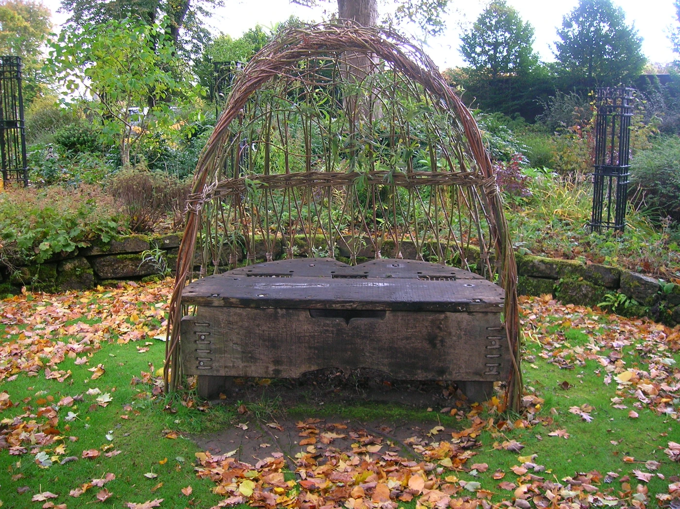A rooted living-willow installation.